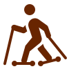 icons8-roller_skis_dx
