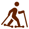 icons8-roller_skis_filled