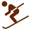 icons8-skiing_dx