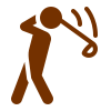 icons8-golf_filled copia